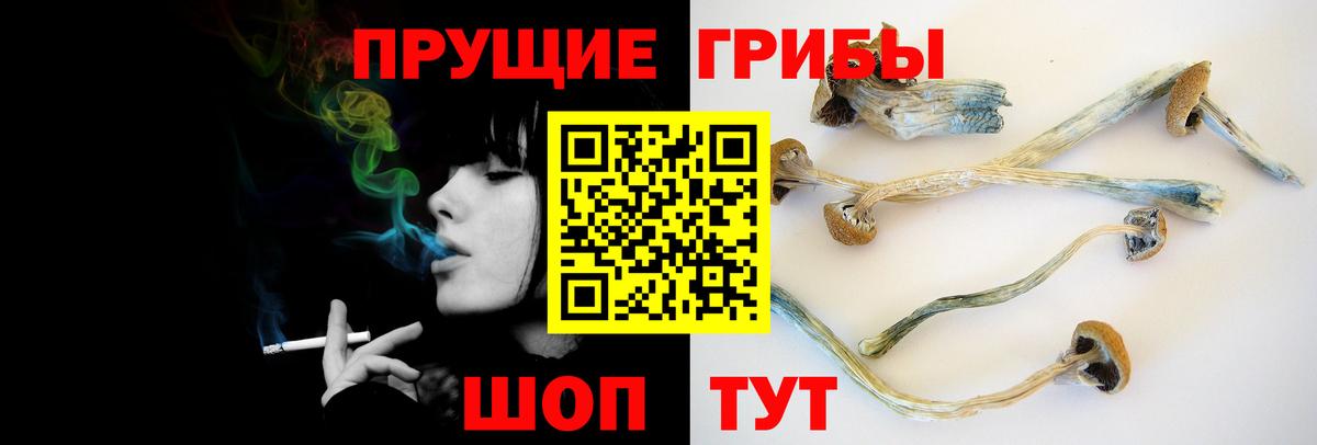 Псилоцибиновые грибы Psilocybe  цены наркотик  Пушкино  Вход с VPN 